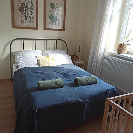 Apartament Przy Wandy Зелена Гура Екстер'єр фото